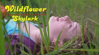 Skylark Wildflower Mp3 Download